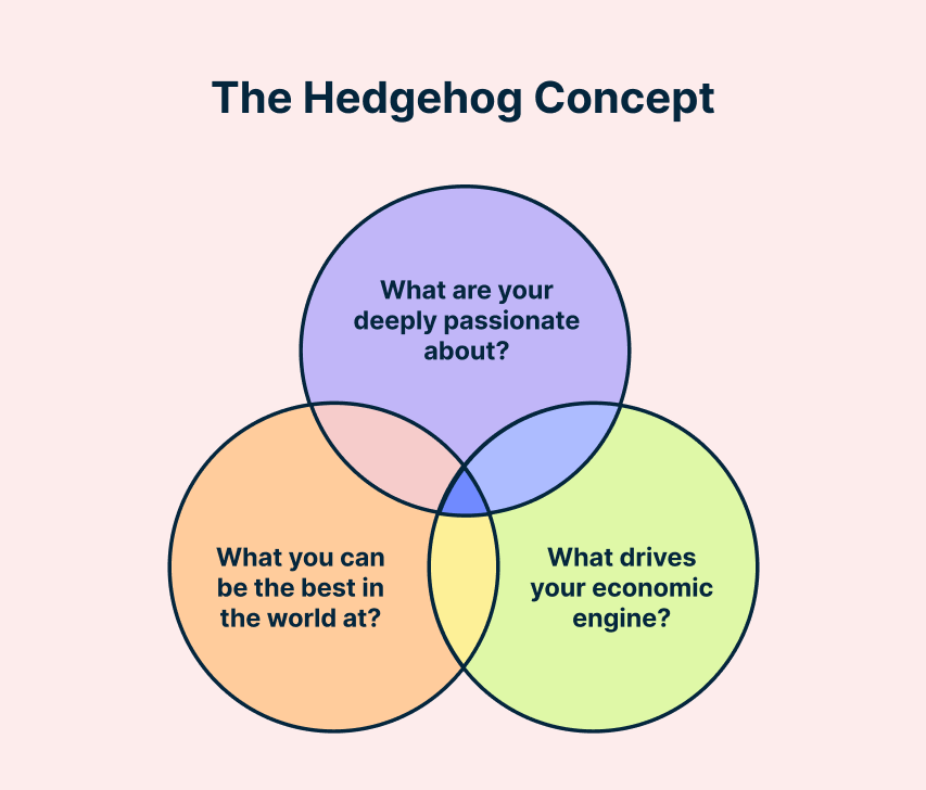 understanding the hedgehog concept