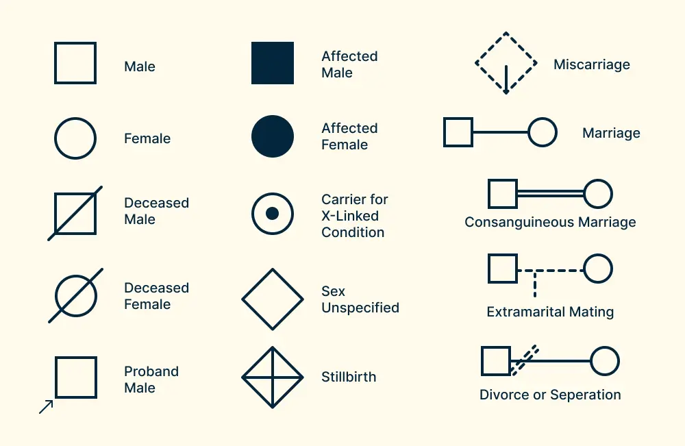 Pedigree Chart Symbols