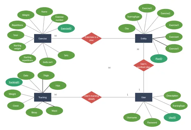 Fitness Application Database ERD